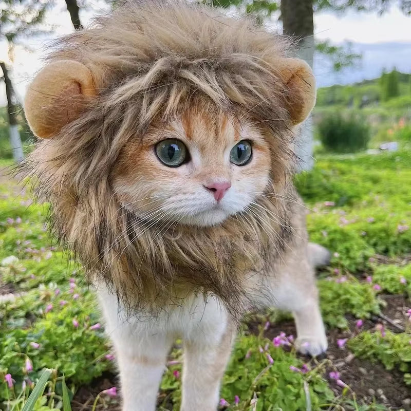 New Cute Funny Pets Clothes Cap Cute Cat Wig Lion Mane Costume Cosplay Kitten Dog Hat with Ears Fancy Party Supplies
