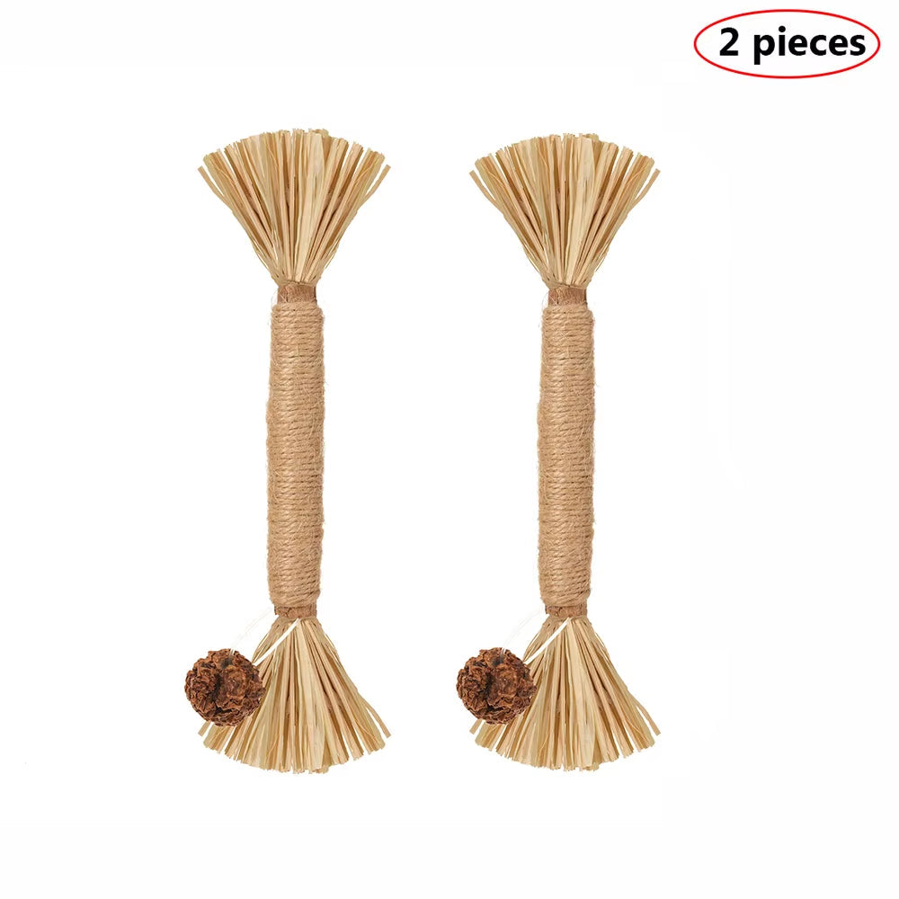 Natural Matatabi Pet Cat Snacks Sticks Cleaning Tooth Catnip Cat Toys Actinidia Silvervine Pet Toy for Cats Accessories