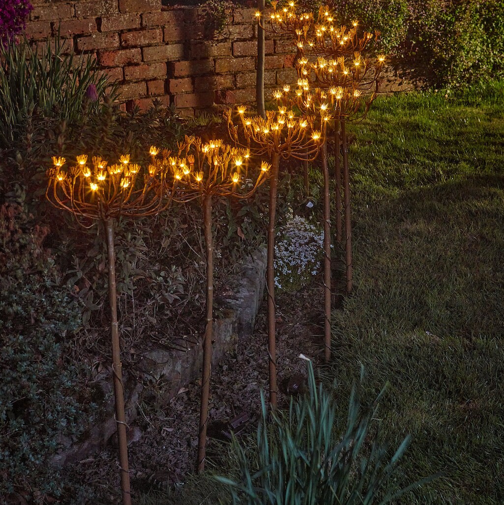 Solar Fennel Light