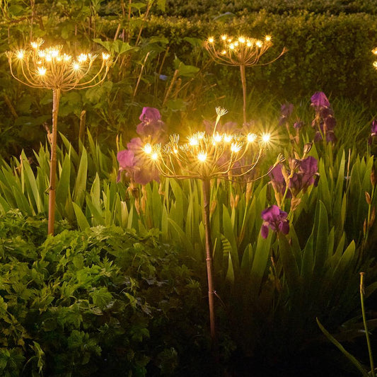 Solar Fennel Light